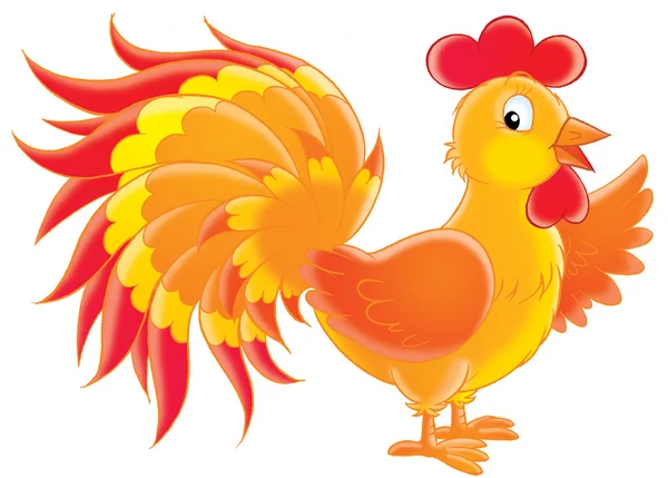 Smiling cock — Stock Photo, Image