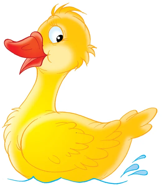 Natación pato amarillo — Foto de Stock