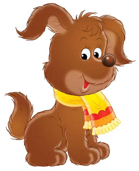 Cachorro con una bufanda — Foto de Stock