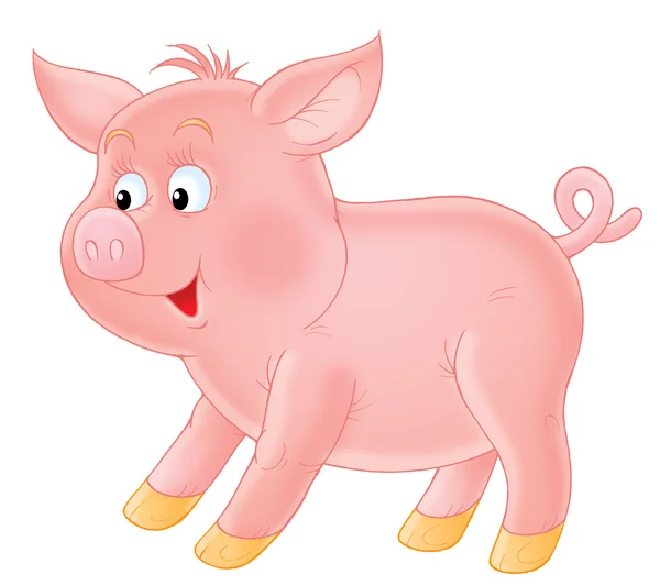 粉红小猪 — 图库照片