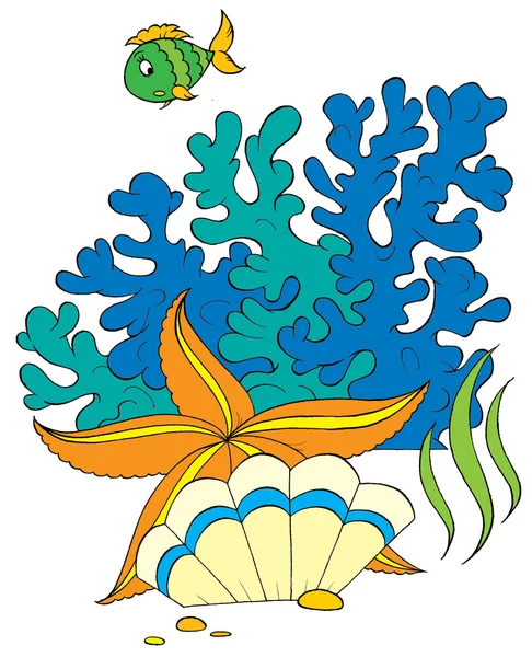 Estrela-do-mar, concha, coral e peixe — Fotografia de Stock