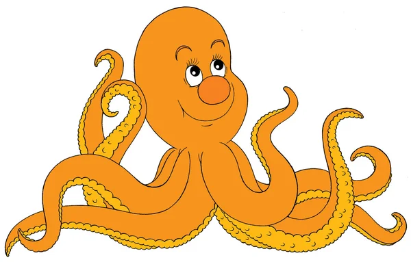 橙色章鱼 — 图库照片