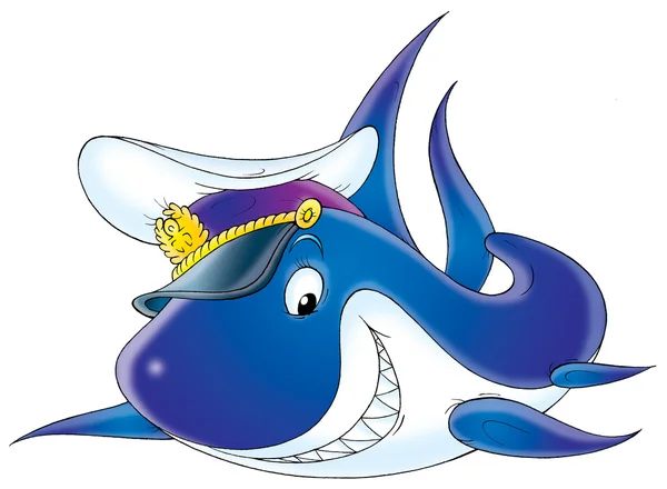 Kapitana rekina — Zdjęcie stockowe