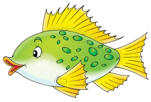 斑点を付けられた魚 — ストック写真