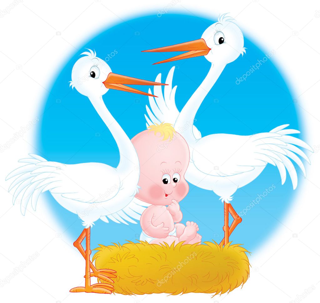 Storks and Baby