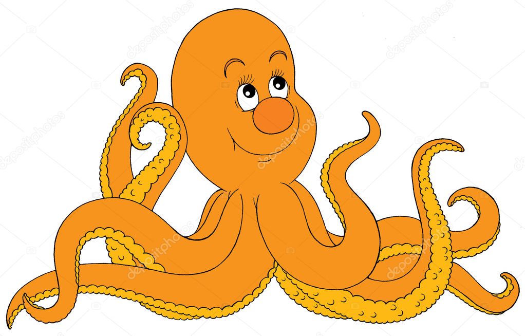 Orange octopus
