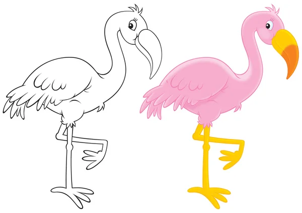 粉红色的火烈鸟 — 图库照片