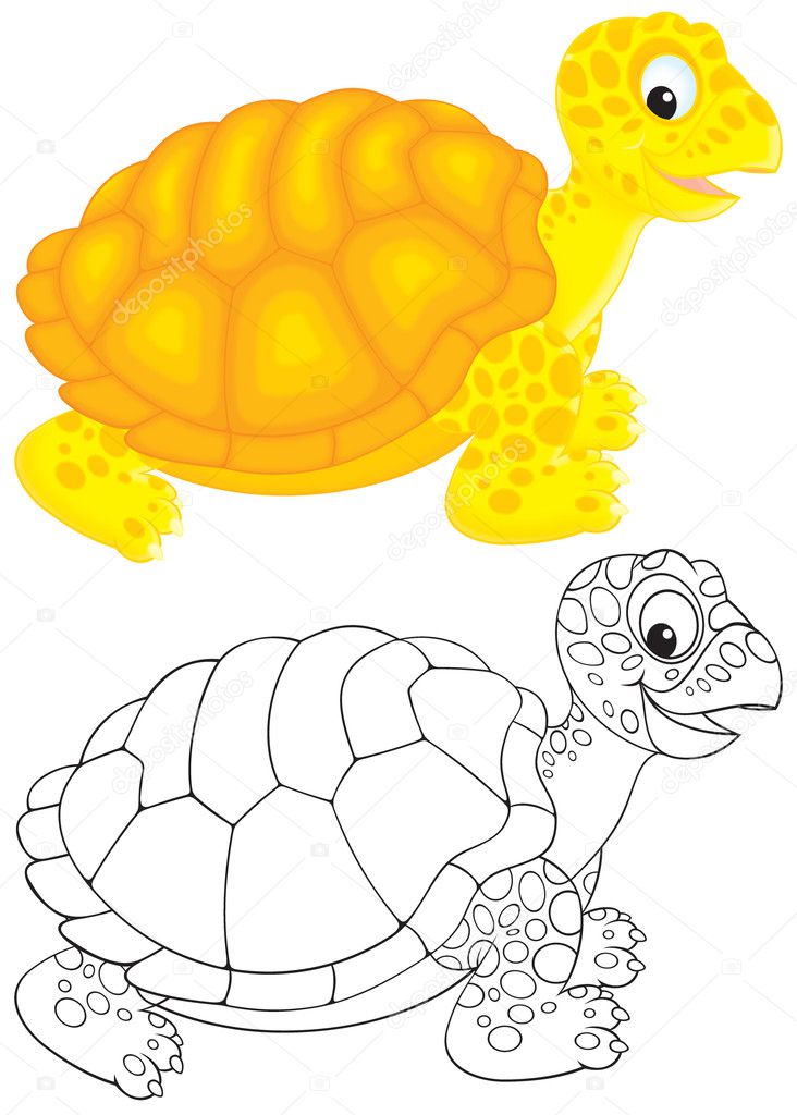 Tortoise Drawing Images – Browse 39,012 Stock Photos, Vectors, and Video |  Adobe Stock