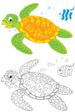 Marine turtle and fish clipart