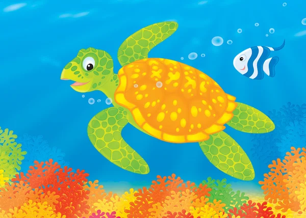Sköldpadda och fiskar simma över ett korallrev — Stockfoto