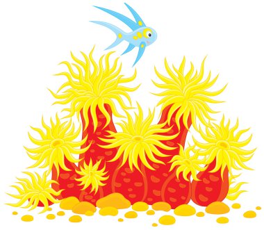 Sea anemone and fish clipart