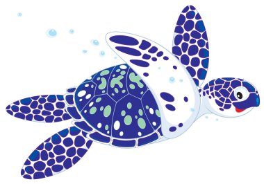 Marine turtle clipart
