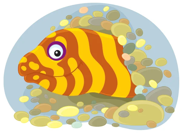 stock vector Sea moray