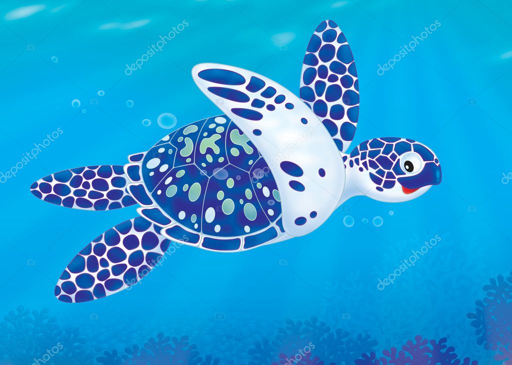 Sea turtle — Stock Photo © AlexBannykh #9107195