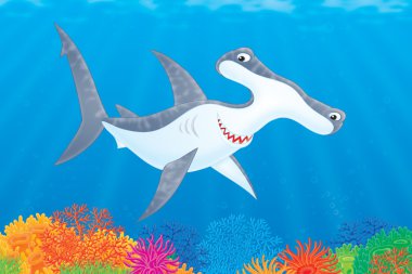 Hammer-headed shark clipart