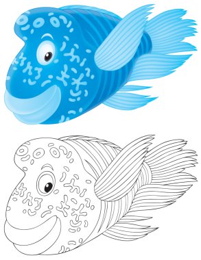 Wrasse swimming clipart