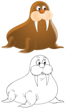 Walrus clipart