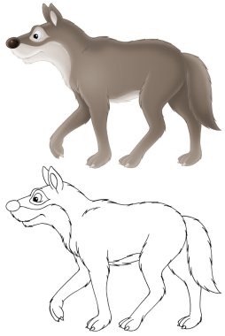 Grey Wolf clipart