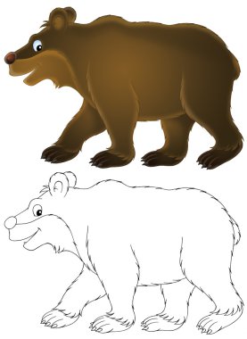 Brown Bear clipart