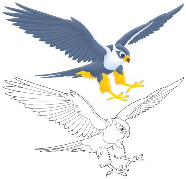 Falcon clipart