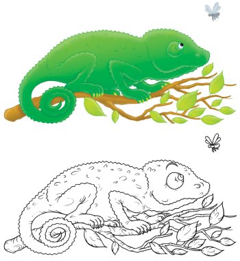 Chameleon clipart