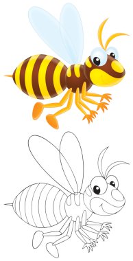 Wasp flying clipart