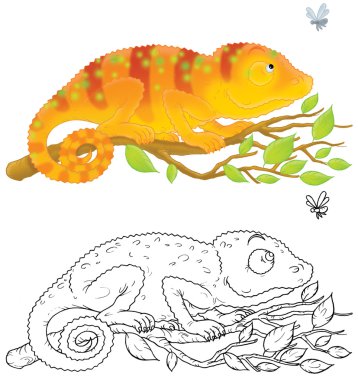 Chameleon clipart