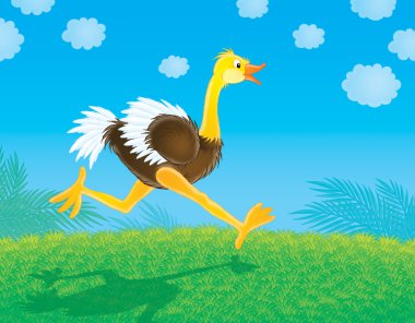 Ostrich clipart