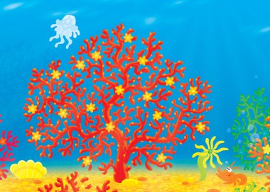 Coral, jellyfish, crawfish and shell clipart