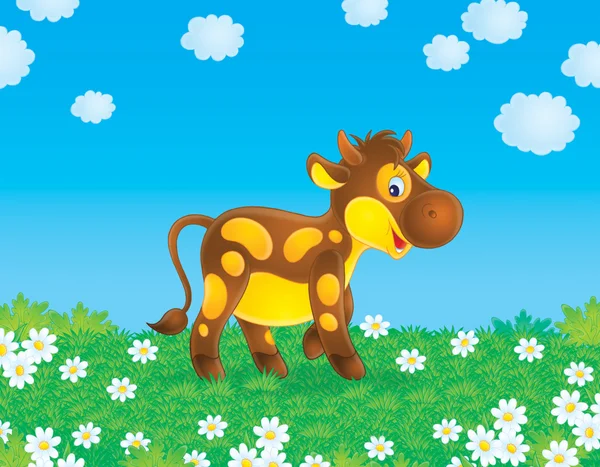 Hnědá kráva v poli — Stock fotografie