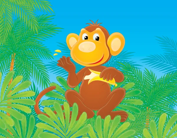 Monkey with banana — Stock Photo, Image