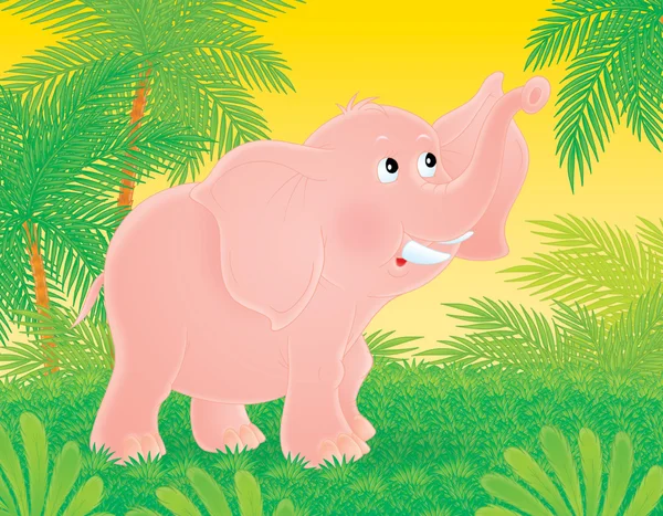 Elefante rosa — Foto de Stock