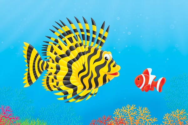Риба Скорпіон і anemonefish — стокове фото