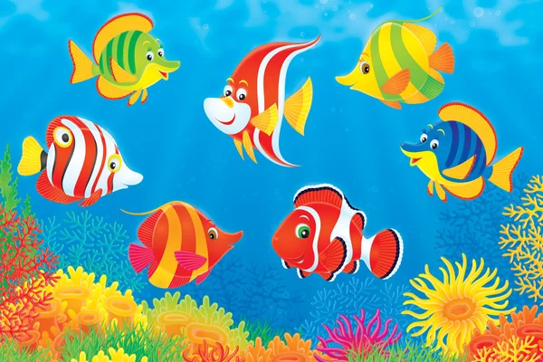 Peixes tropicais acima de um recife de coral colorido — Fotografia de Stock