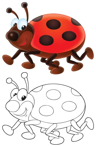 Coccinella — Foto Stock