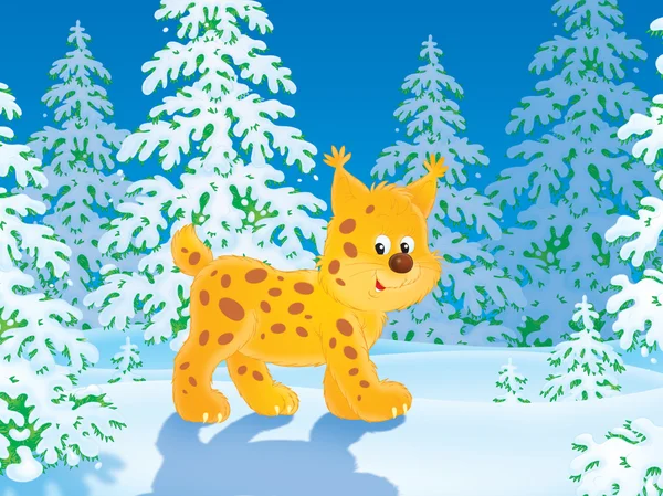 Lynx em uma floresta de inverno — Fotografia de Stock