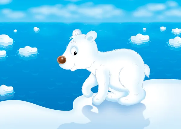 Lední medvídě — Stock fotografie