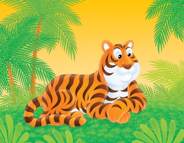 Tygr v džungli — Stock fotografie