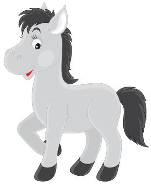 Little Foal clipart