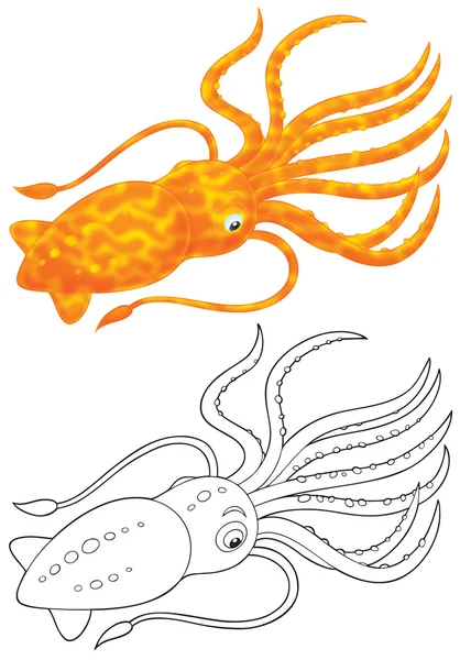 Camplefish — стоковое изображение # ▶ Скачивайте картинки в хорошем качестве Camplefish Стоковое Изображение