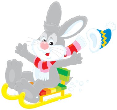 Hare driving in a sled clipart
