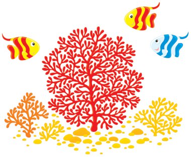 Corals and fishes clipart