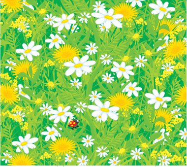 Ladybug and field flowers clipart