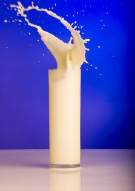 Splash süt