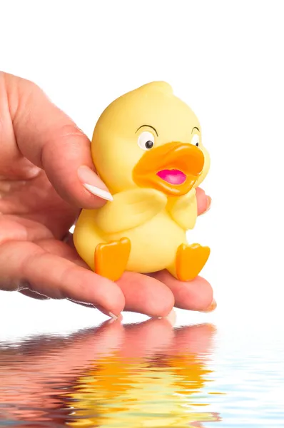 Stock image Holding toy duck with hand