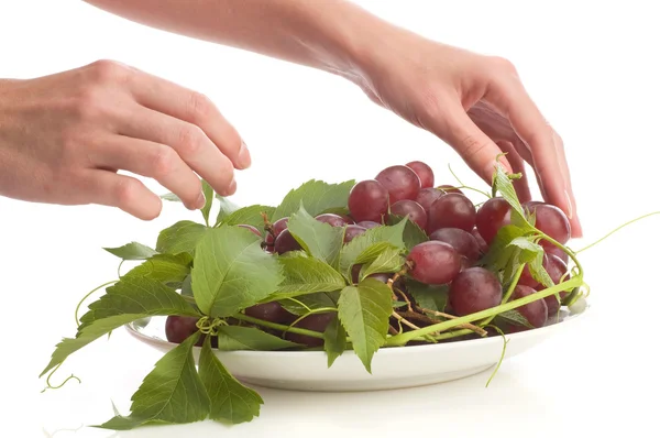 Grape on plate isolated — Stock Photo, Image