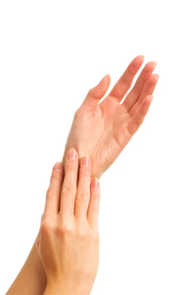 stock image Women's hand