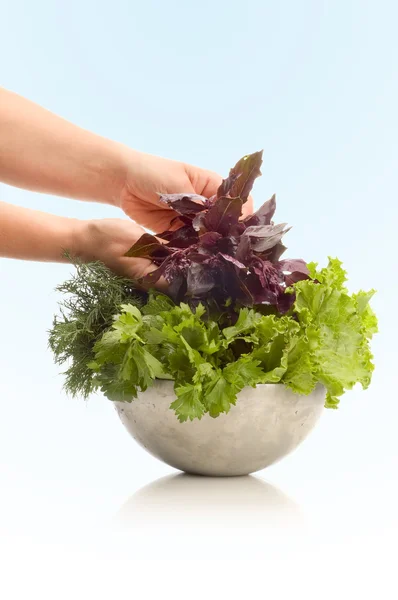 Fresh herbage — Stock Photo, Image
