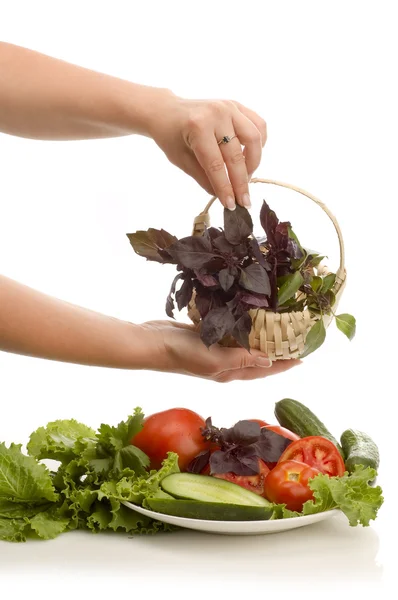 Salad preparing — Stock Photo, Image