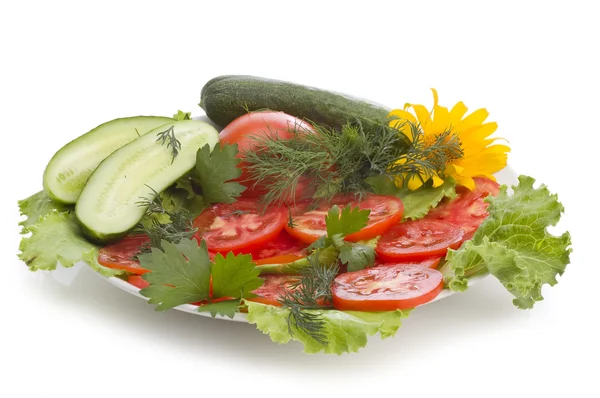 Speisekarte des Restaurants: Gemüse schneiden — Stockfoto